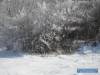 Zimn radovnky v Materskej kole<br><br>autor: O.Jamrichov