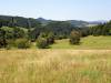 Chvojnica - Obšiar<br><br>autor: R.Proè