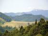 Chvojnica - Obšiar<br><br>autor: R.Proè