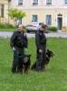 Medzinárodný de? detí 2006<br>Ukážka výcviku policajných psov<br>autor: P.?.