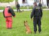 Medzinárodný de? detí 2006<br>Ukážka výcviku a zásahu policajných psov<br>autor: ?.B.