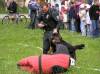 Medzinárodný de? detí 2006<br>Ukážka výcviku a zásahu policajných psov<br>autor: ?.B.