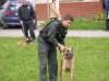Medzinárodný de? detí 2006<br>Ukážka výcviku a zásahu policajných psov<br>autor: ?.B.
