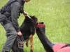 Medzinárodný de? detí 2006<br>Ukážka výcviku a zásahu policajných psov<br>autor: ?.B.