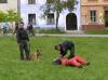 Medzinárodný de? detí 2006<br>Ukážka výcviku a zásahu policajných psov<br>autor: ?.B.